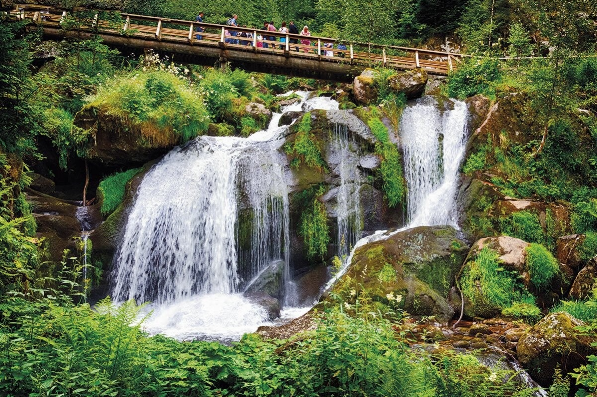 Selva Negra (Alemania) – El bosque donde nacen los cuentos