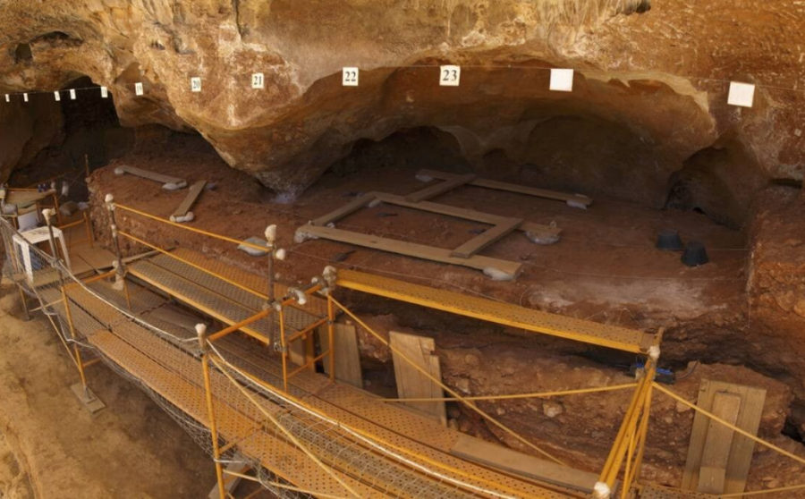Galería, Atapuerca