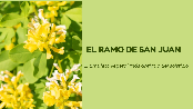el ramo de san juan