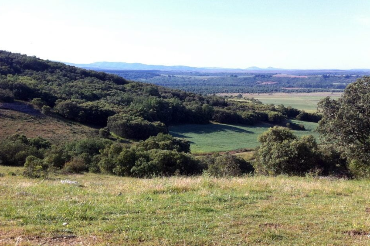 Sierra de Atapuerca 