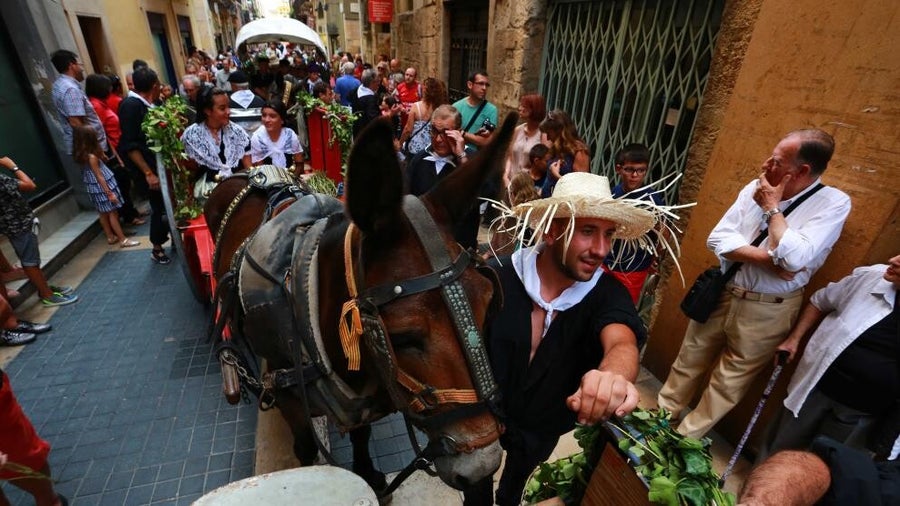 llegada de los carros de agua fiesta saint magi