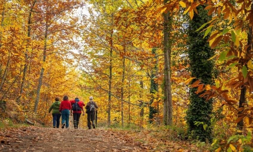 Gran Marcha Senderista "Bosques del Ambroz"