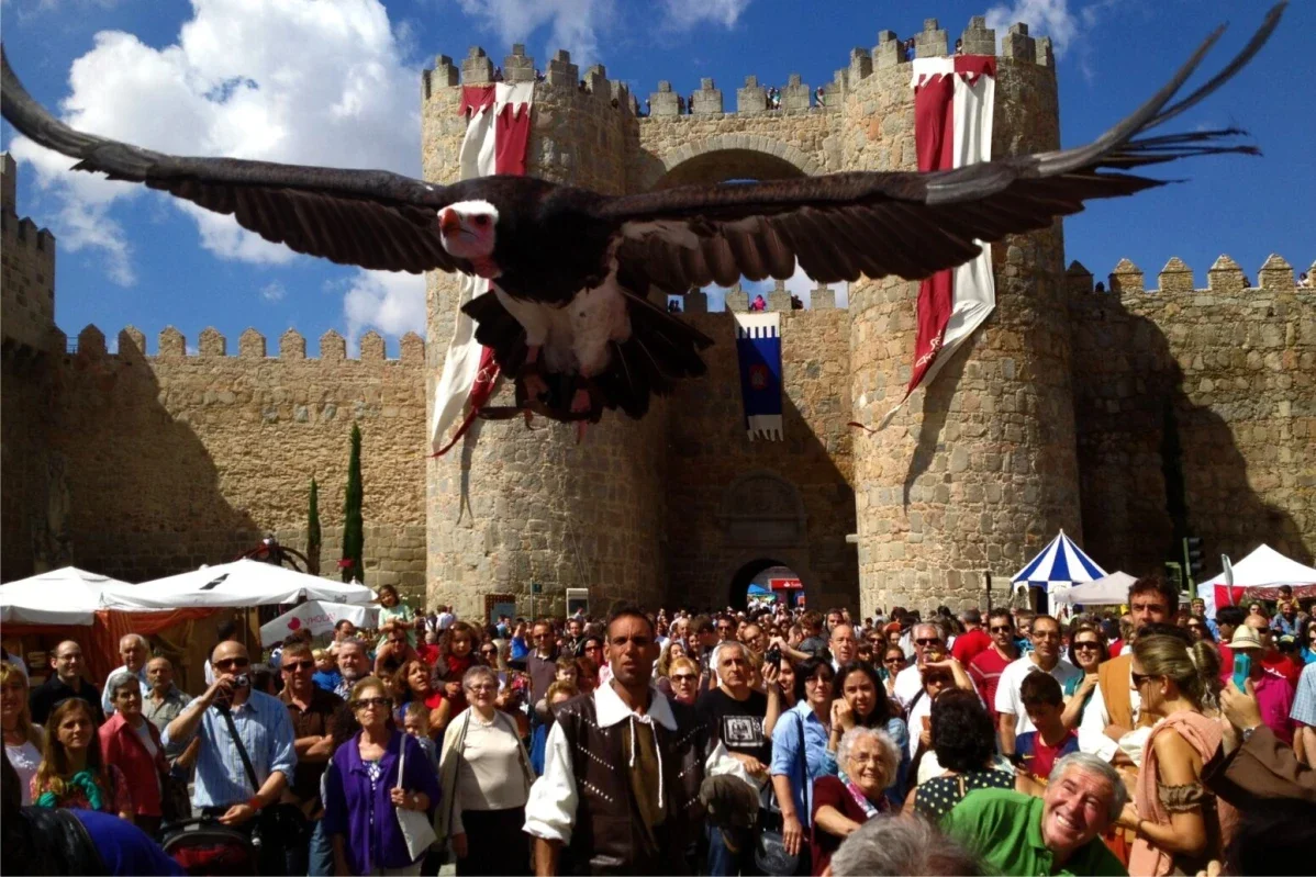 Jornadas Medievales Ávila