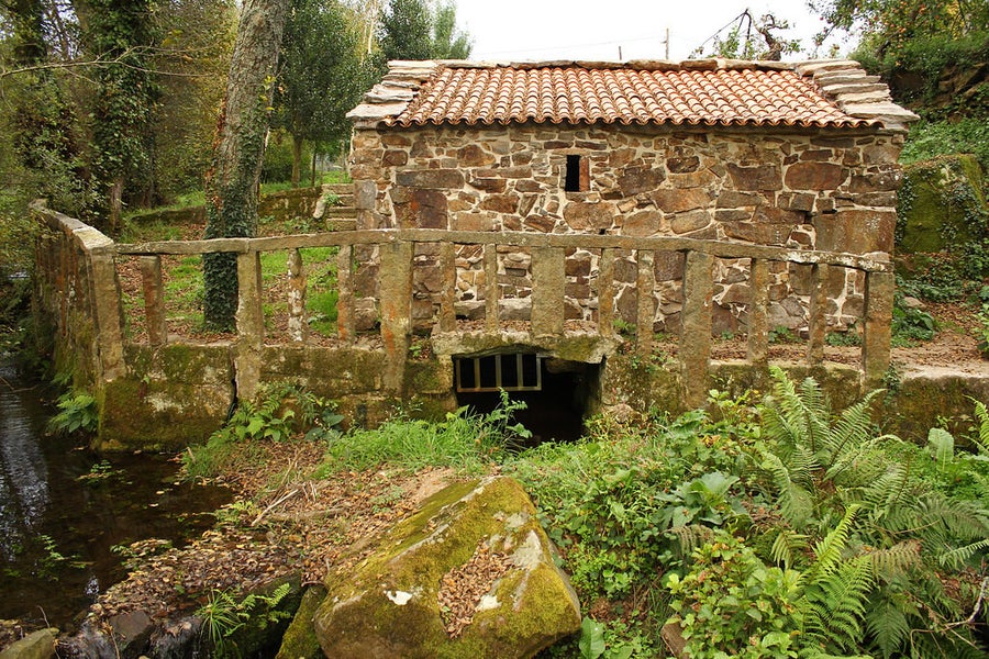 Molino del río Rivillas: el rincón secreto que susurra historia entre árboles
