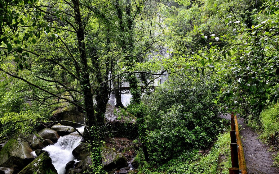 Ruta de las Nogaledas (desde Navaconcejo)