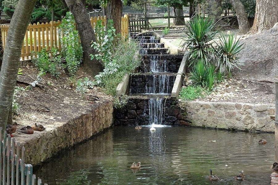 estanque de patos en el parque de los pinos de plasencia