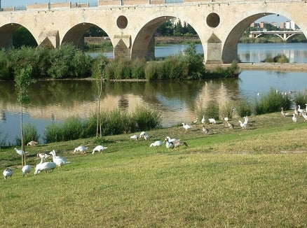 Parque del Río Guadiana