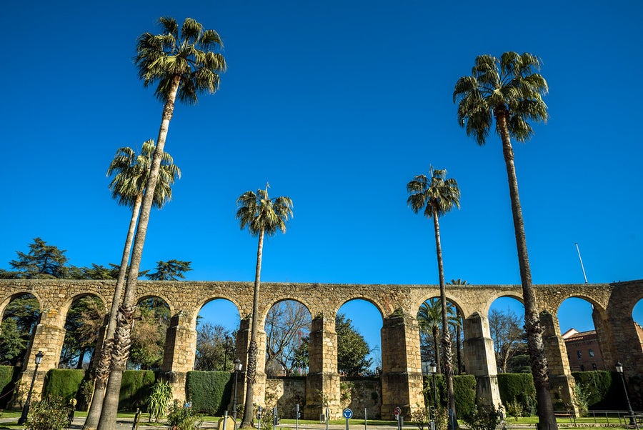 Vista desde el frente del acueducto de san antón con algunas plameras de un parque