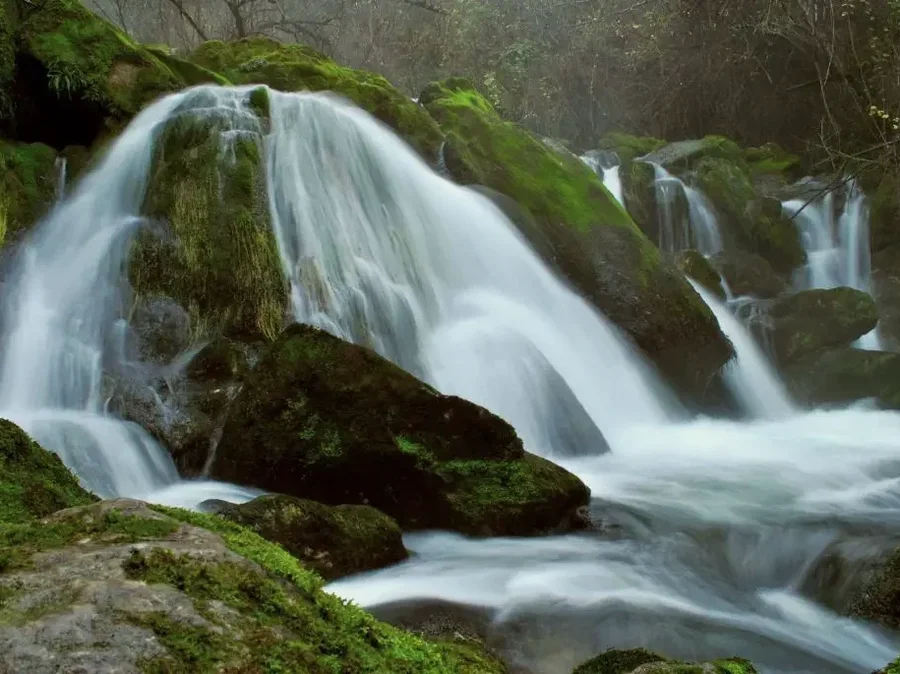 Nacimiento del río Cadagua (Lezana de Mena)