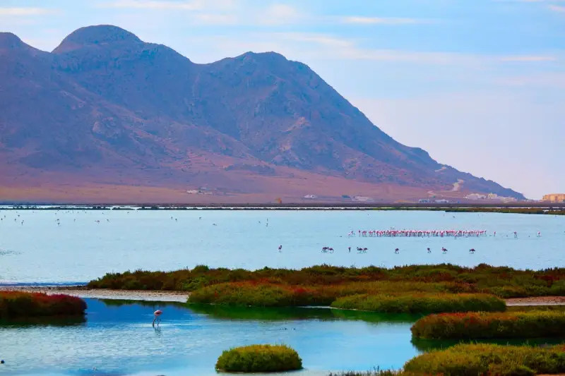 Las Salinas de Cabo de Gata