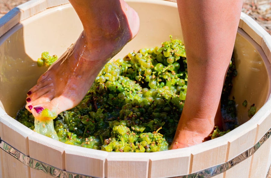 La Vendimia del Cava