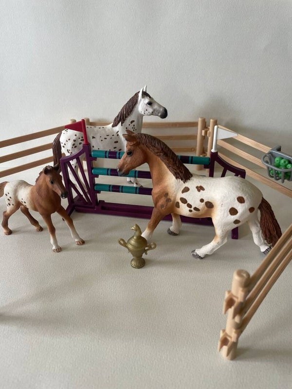 Schleich appaloosa-toernooi set 42433