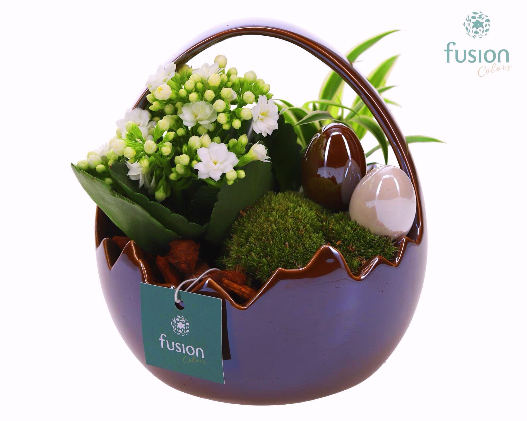 Arrangiamento Fusion ø16. Box x3