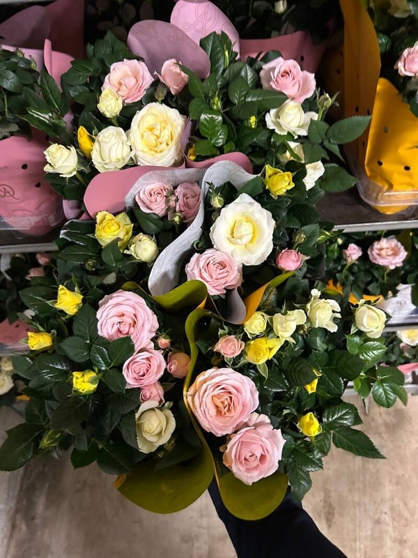 Rosa Florence trio ø14.  Box x6