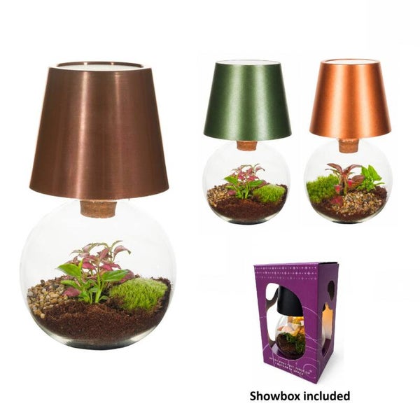 Terrarium Orcus Lamp ø12.  Box x4
