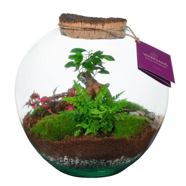 Terrarium Moon ø28