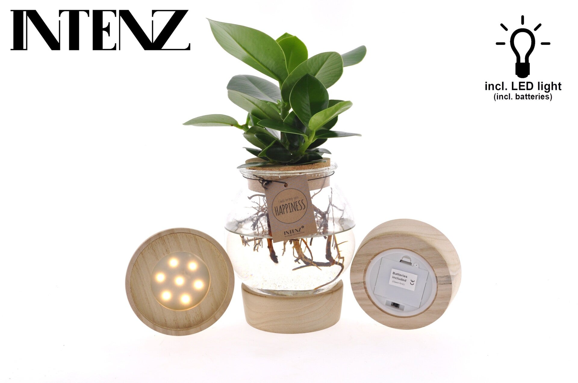 Clusia bolglass + led ø12