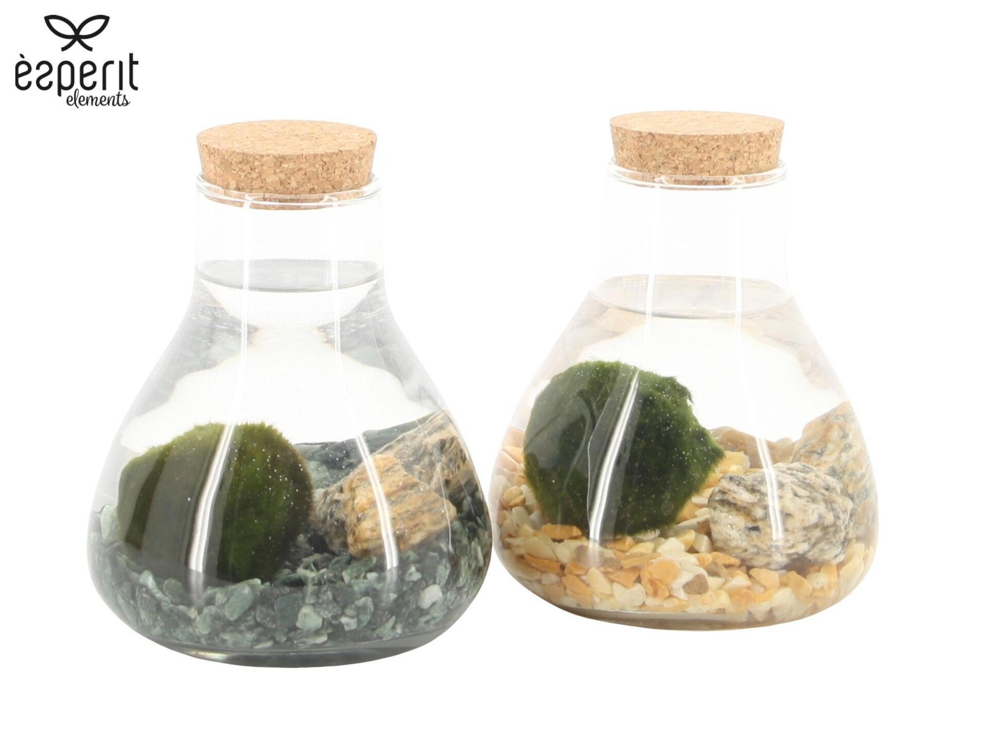 Marimo esperit ø10.  Box x6