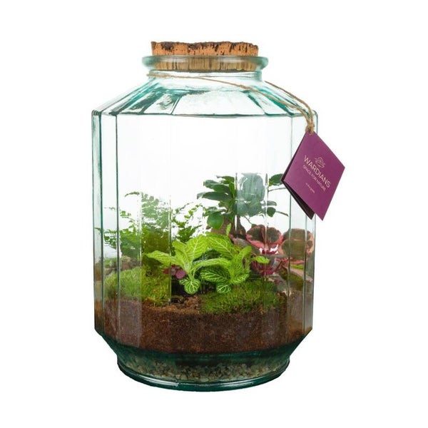 Terrarium Strepe ø27