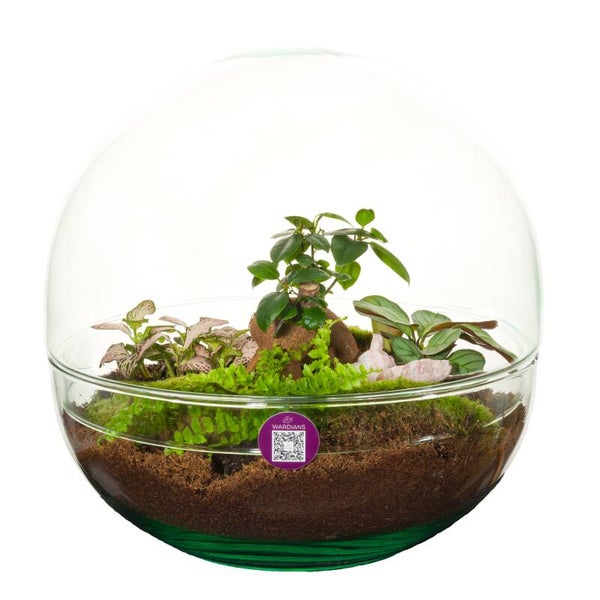 Terrarium Hearth ø30