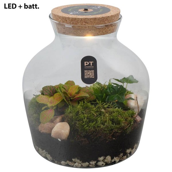 Terrarium PT8101. LED.  Box x2