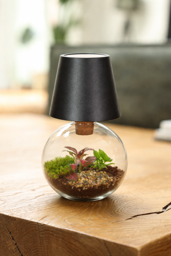 Terrarium OrcusLamp.  Box x4