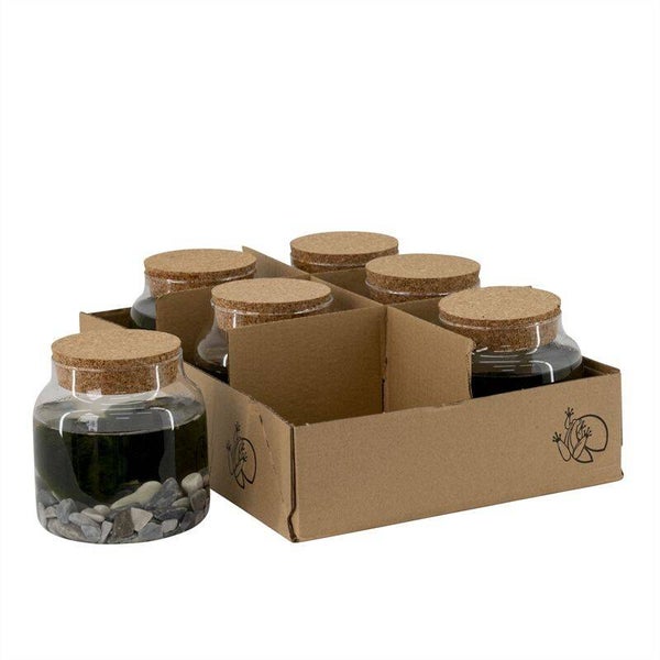 Marimo ø12.  Box x6