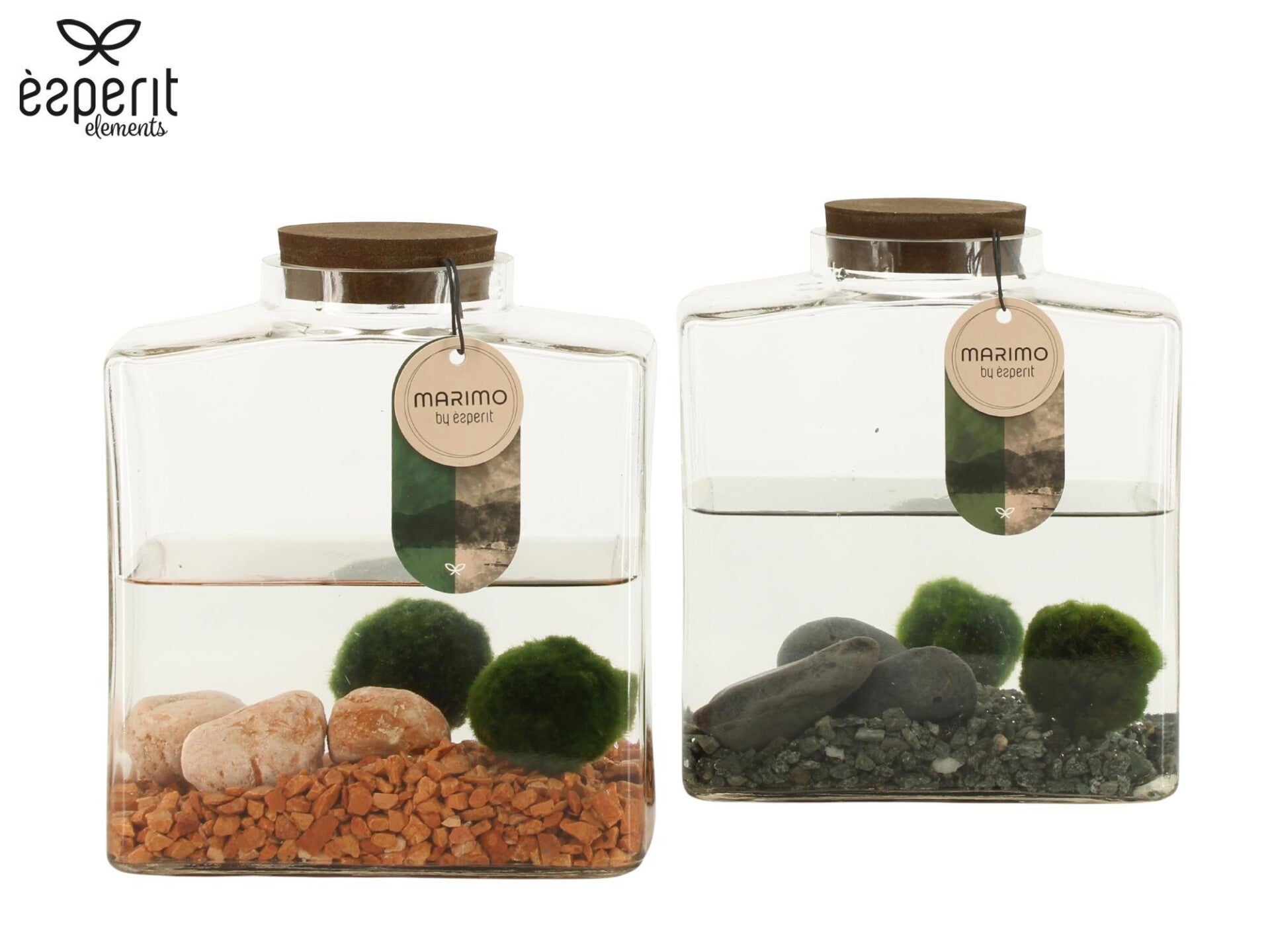 Marimo ø17.  Box x2