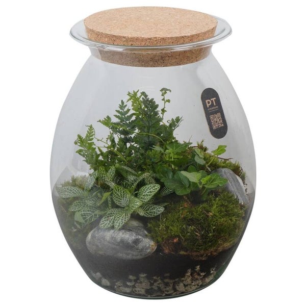 Terrarium PT8143.  Box x2