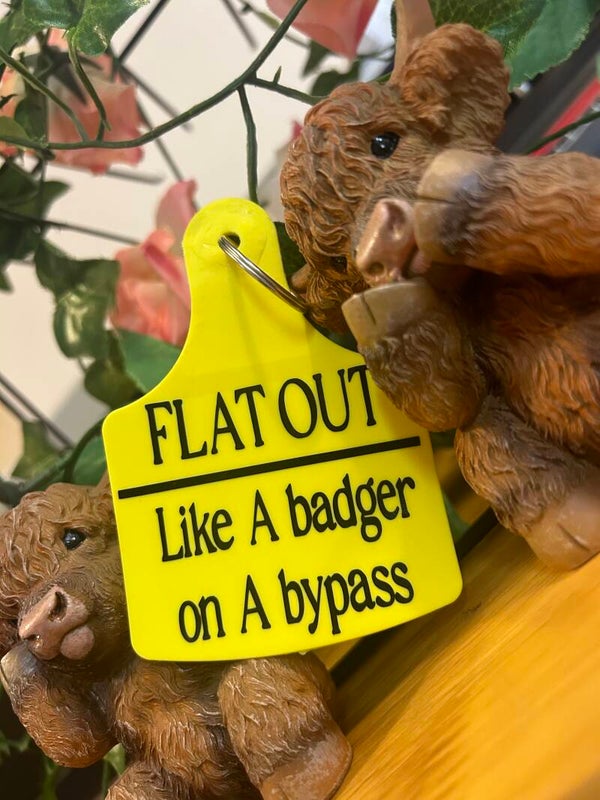 Flat out Cow tag