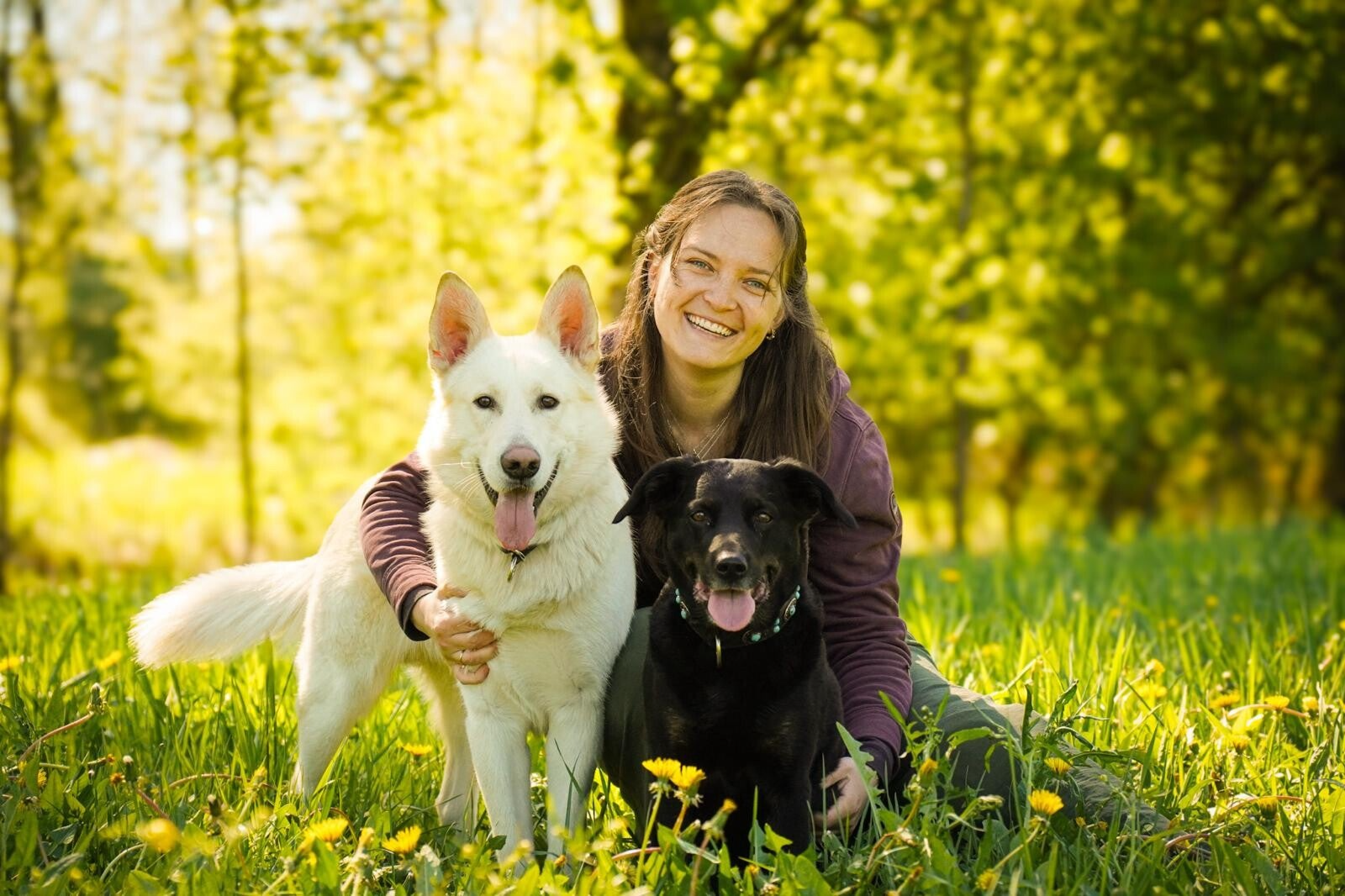 Mensch mit weißem Schäferhund und schwarzem Hund
