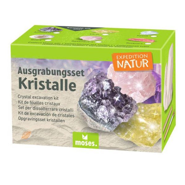 Moses Uithaksetje Kristal - 6 assorti