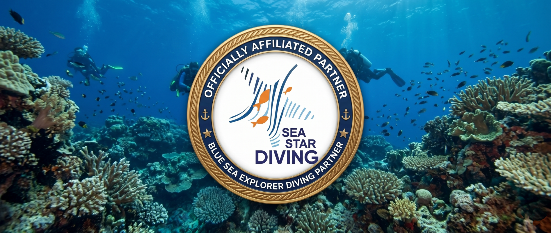 Sea Star Diving - Affiliated Diving Partner