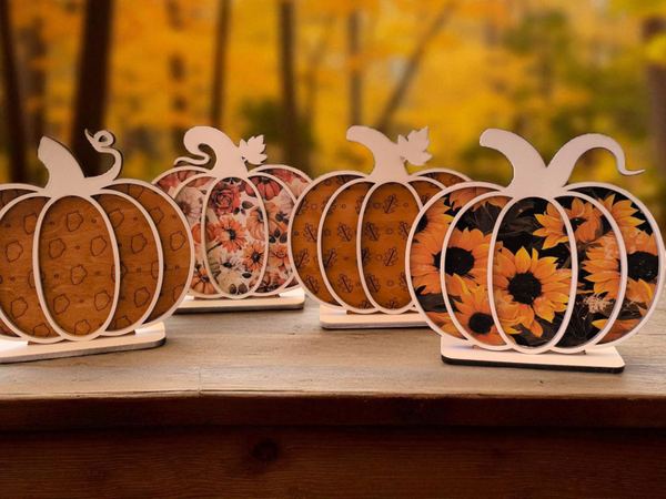 Kürbis Set 4-er bedruckt und belasert