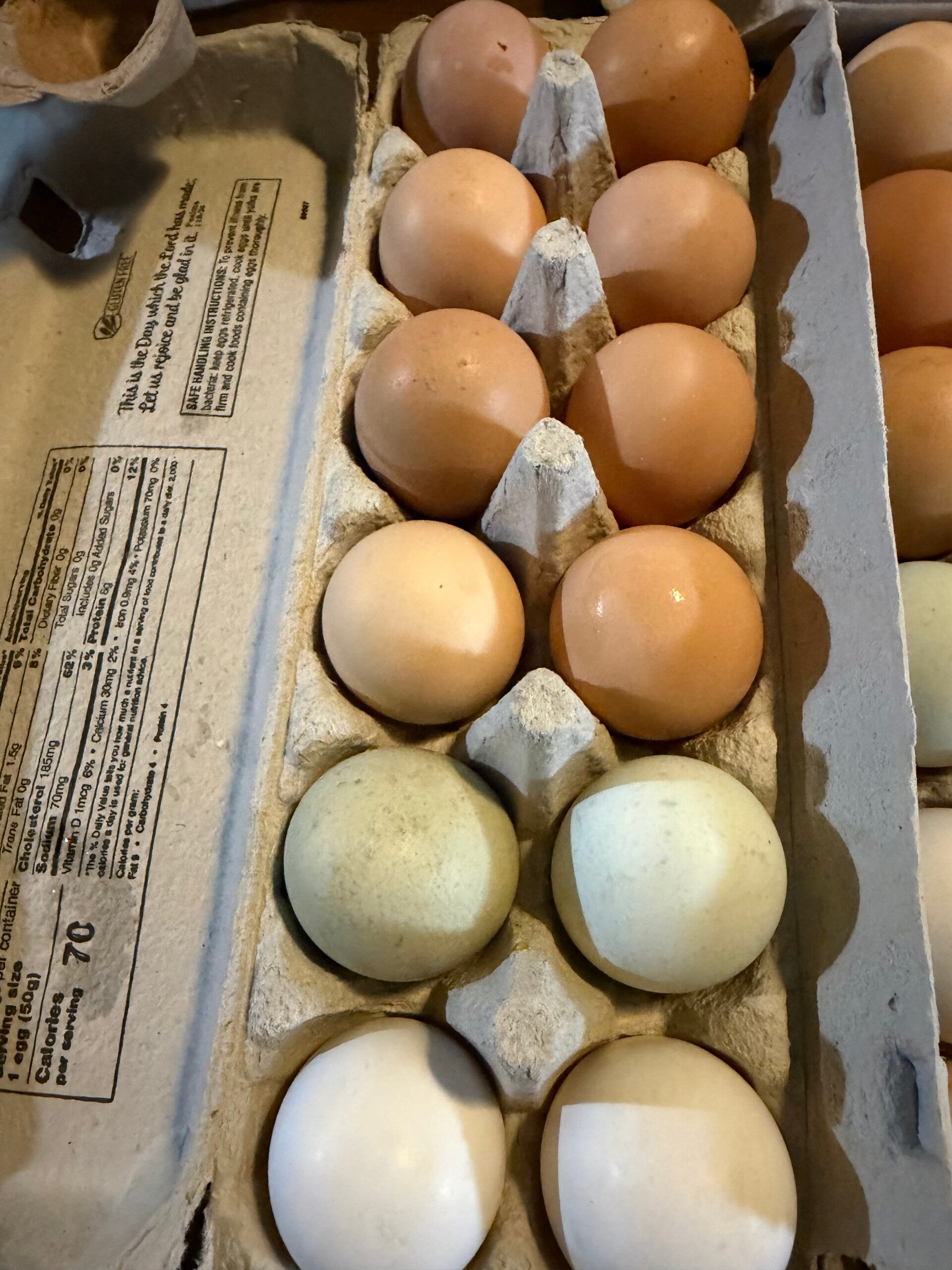Egg