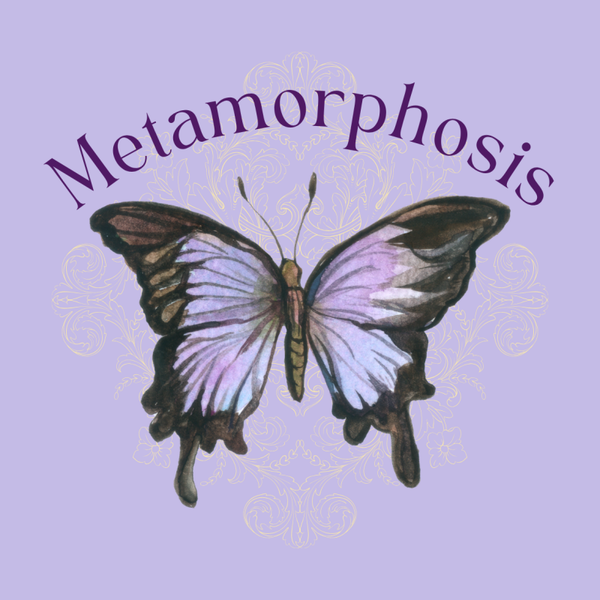 Circle Sticker Butterfly Metamorphosis (Copy)