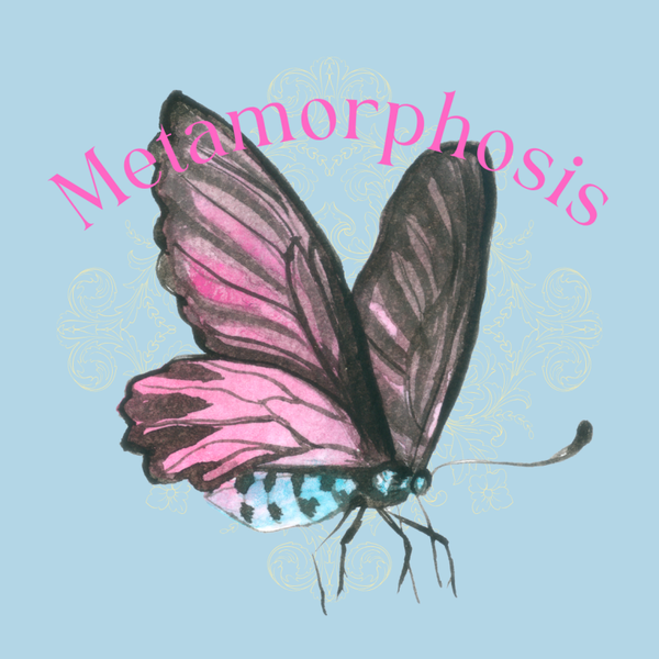 Circle Sticker Butterfly Metamorphosis