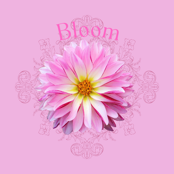 Circle Sticker Flower Bloom