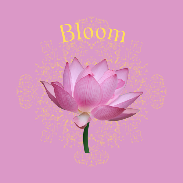 Circle Sticker Flower Bloom