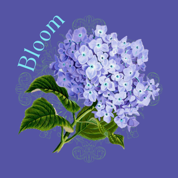 Circle Sticker Flower Bloom