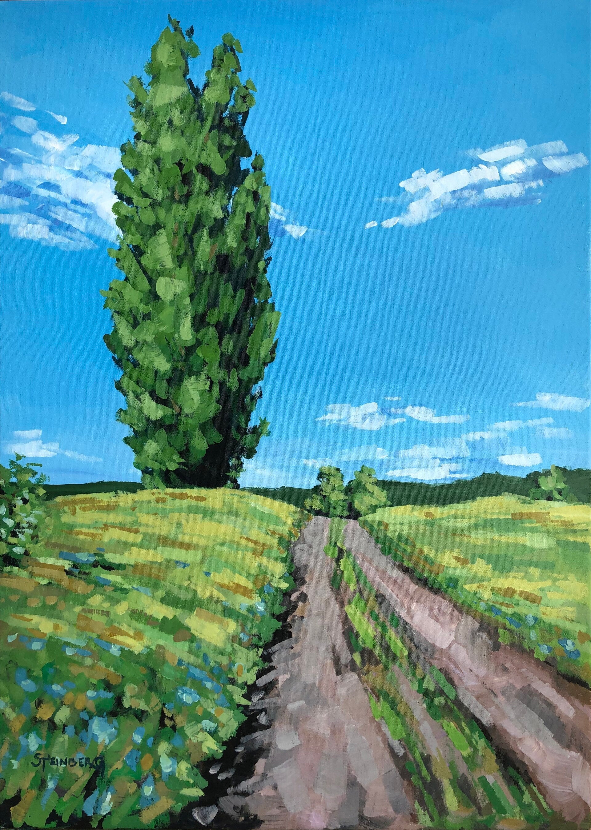 Säulen-Pappel, Buckow