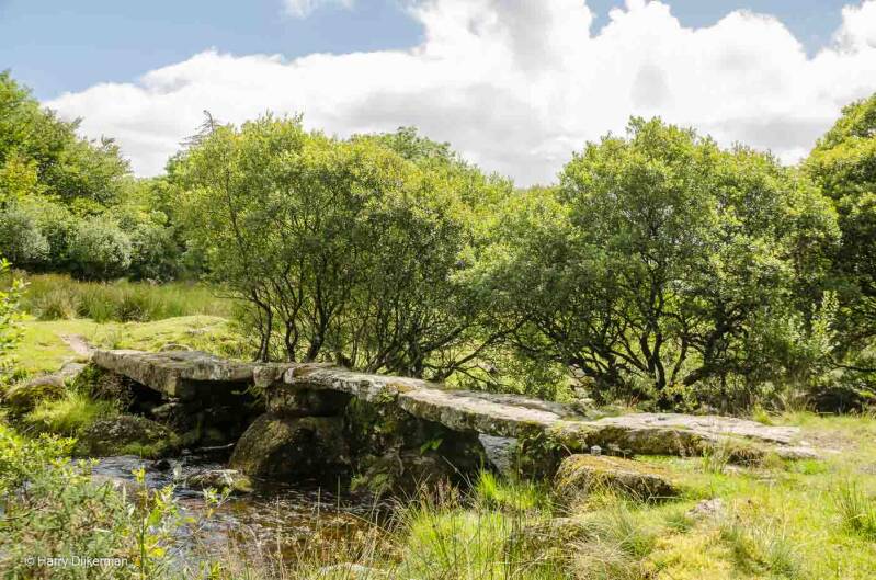 Beardown Farm Clapper 