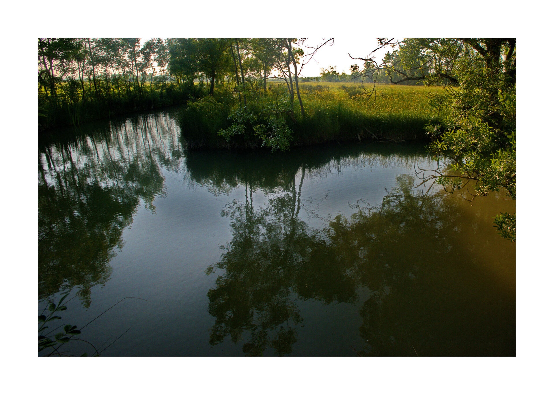 Beugné l'abbé (85)