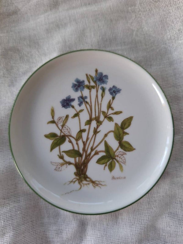 Botanisch porseleinen schaaltje 'Pervinca'