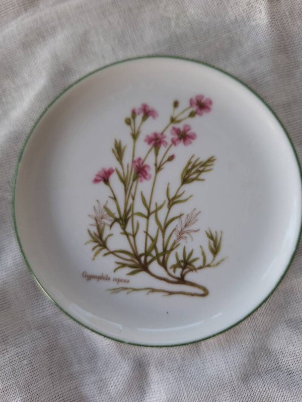 Botanisch porseleinen schaaltje 'Gypsophila'