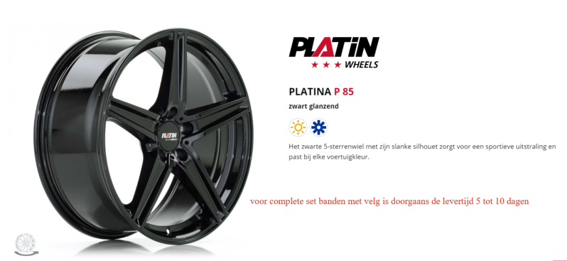 PLATIN P85 BEETLE KI-JOBANDEN KERKDRIEL