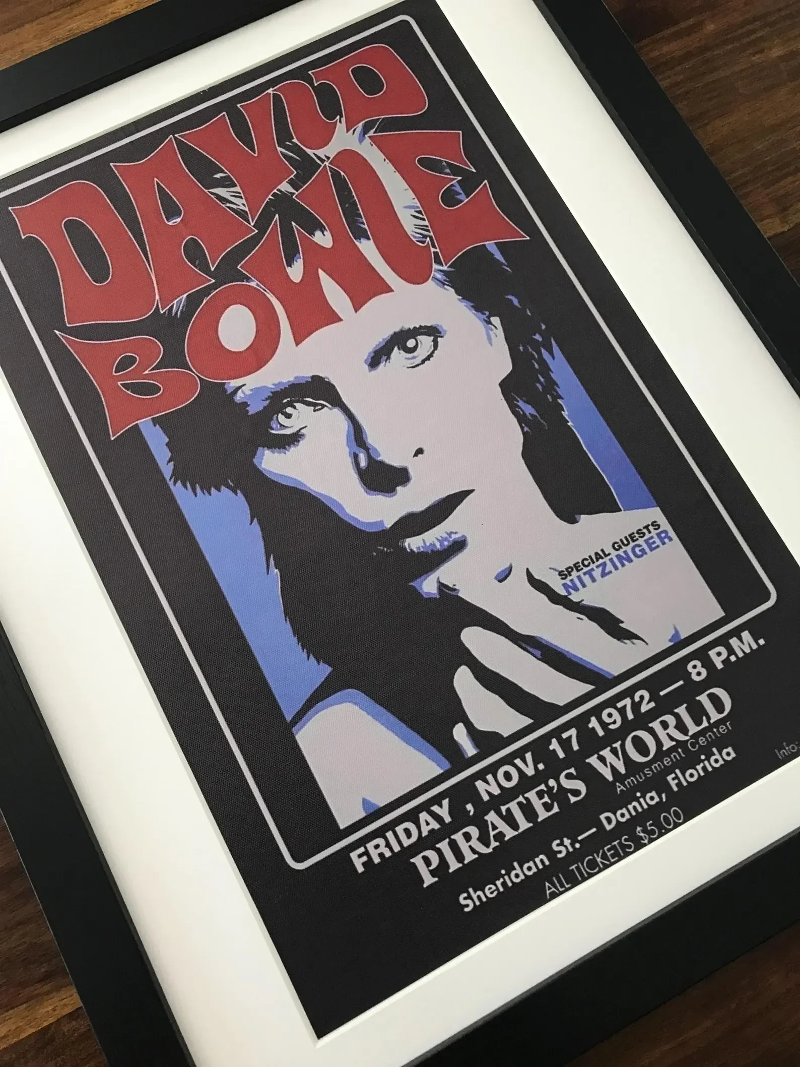 David Bowie - in Concert Framed Canvas Print