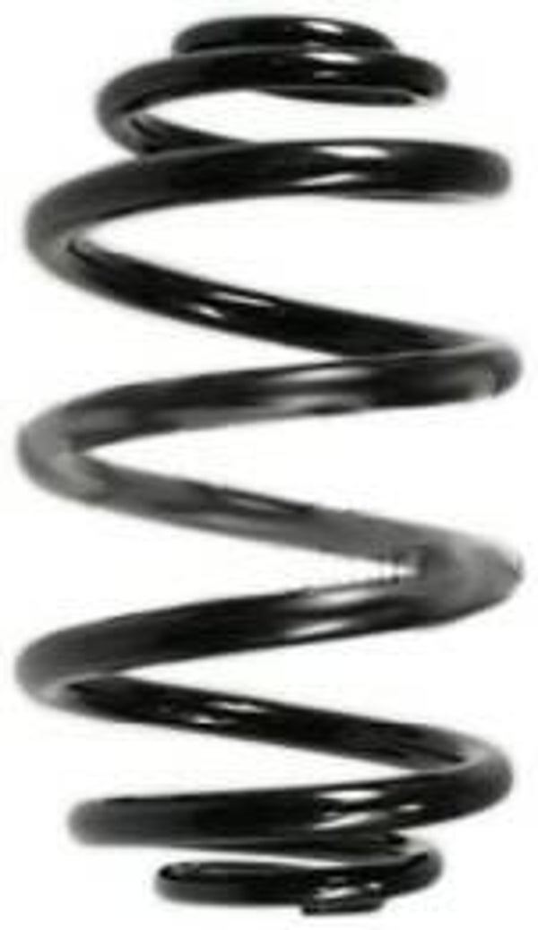 Spiraalveer Spidan (55073) Renault