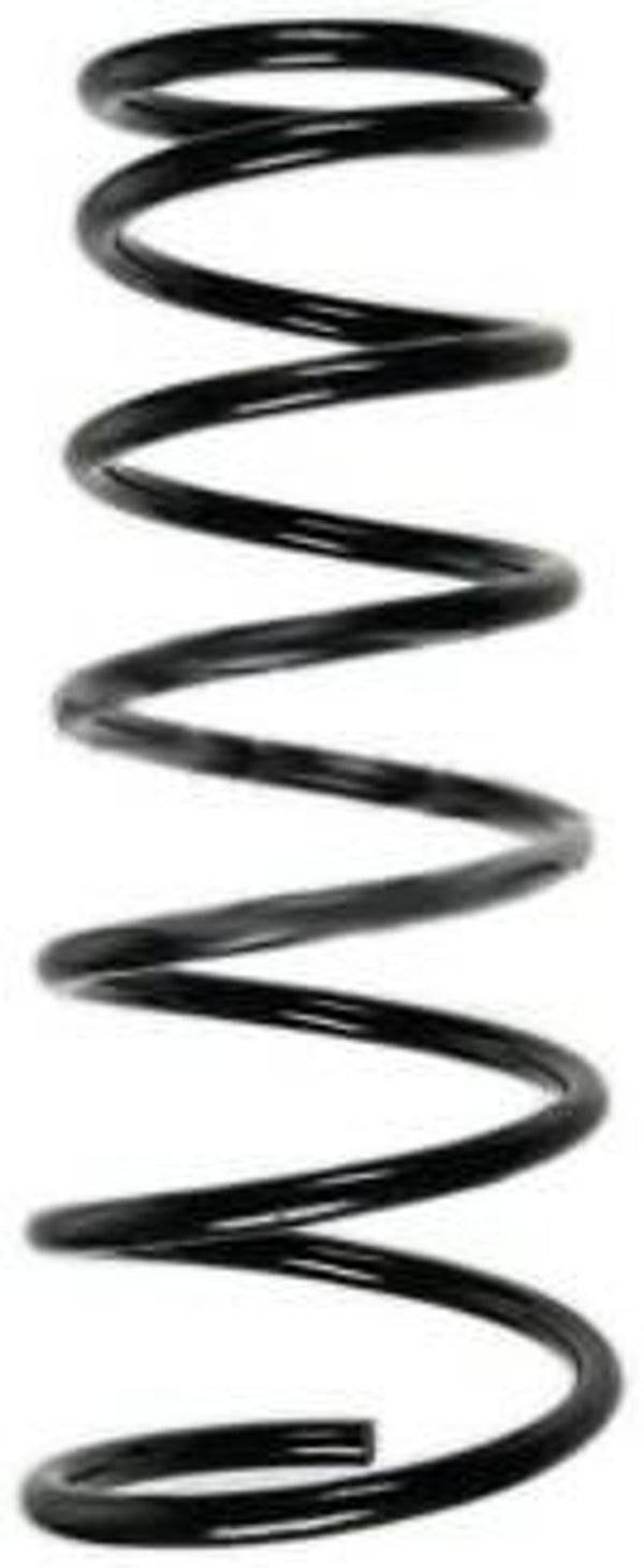 Spiraalveer Spidan (55330) Ford