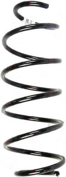 Spiraalveer Spidan (55339) Ford